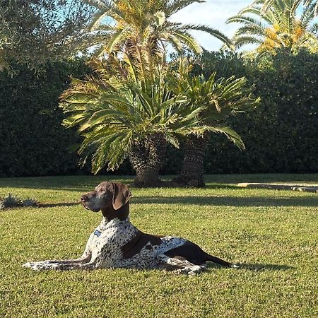 La Calma Espectacular Villa Con Jardin Y Piscina En Menorca S'Algar Extérieur photo